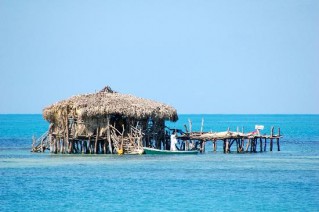 Pelican Bar Tour