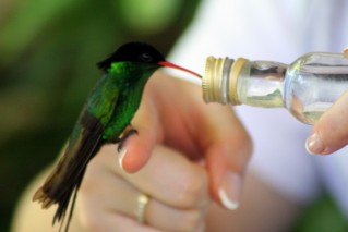 Rockland Bird Sanctuary Tour