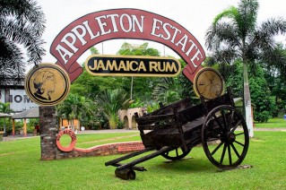 Appleton Estate Tour