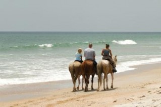 Horseback Riding Tour